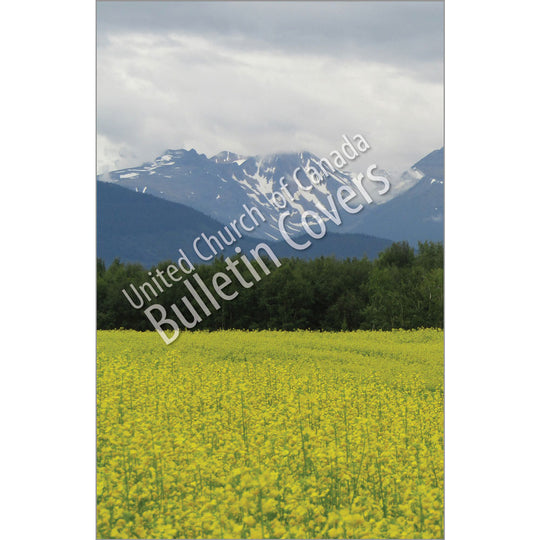 Bulletin: Western Mountains (Package of 50)