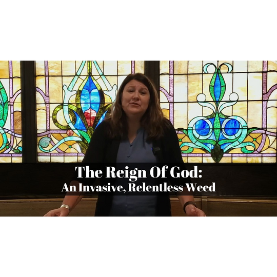 July 30, 2023 – Proper 12: “The Reign of God: An Invasive, Relentless Weed” A Worship Service Package Based on Matthew 13:31–33, 44–52