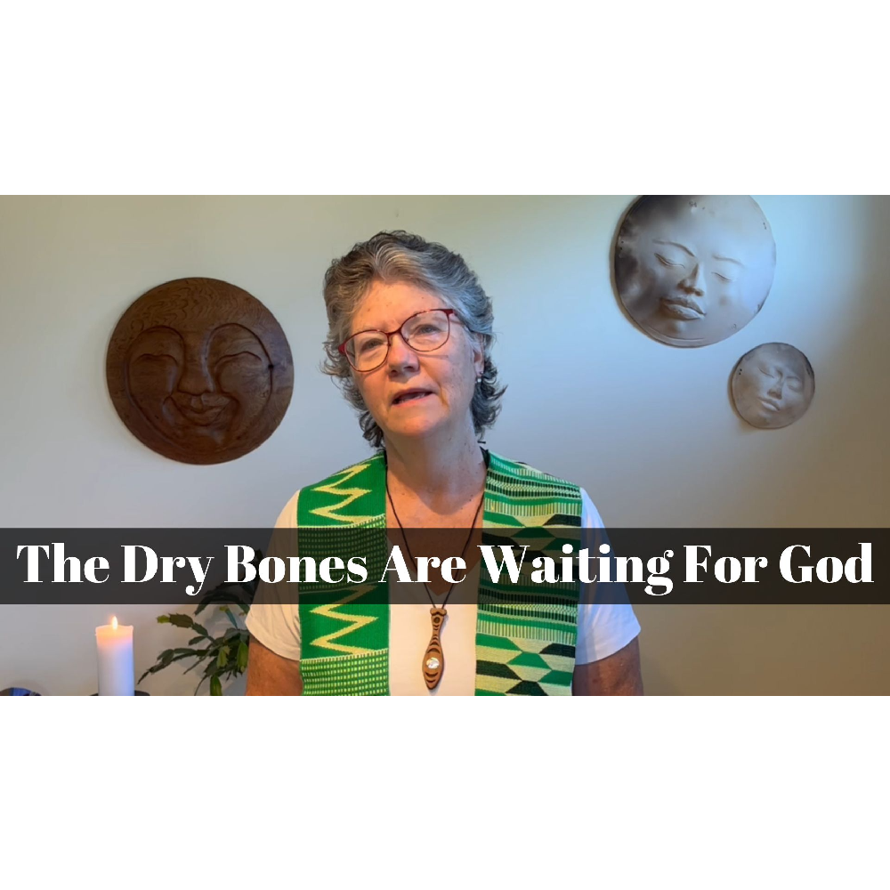 August 20, 2023 – Proper 15: “The Dry Bones are Waiting for God” A Worship Service Package Based on Ezekiel 37:1-14