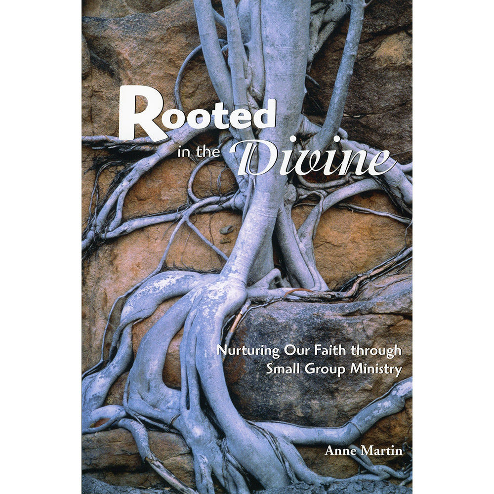 Rooted in the Divine: Nurturing Our Faith through Small Group Ministry