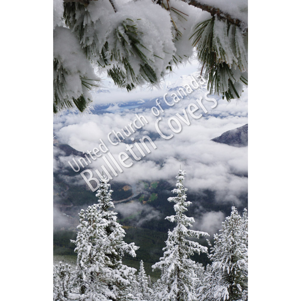 Bulletin: Winter Splendour (Package of 50)