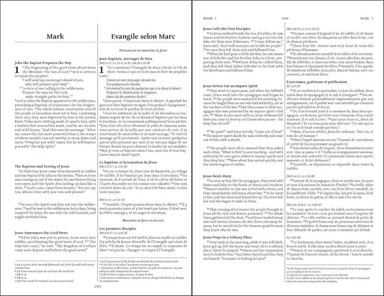 French La Bible du Semeur/English NIV Bilingual Bible