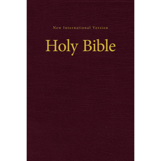 NIV Pew and Worship Bible