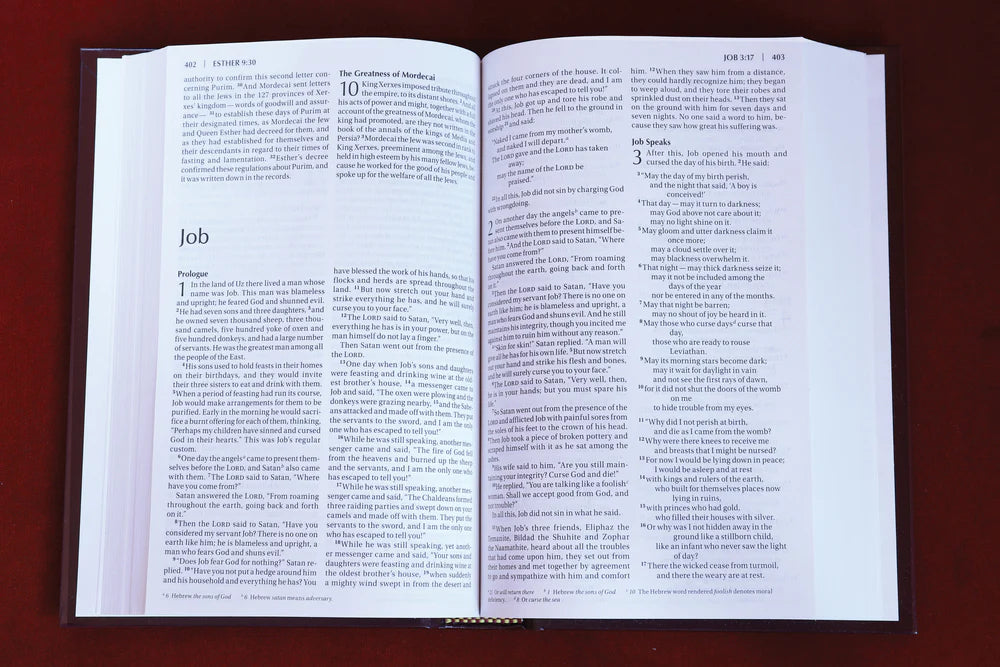 NIV Pew and Worship Bible