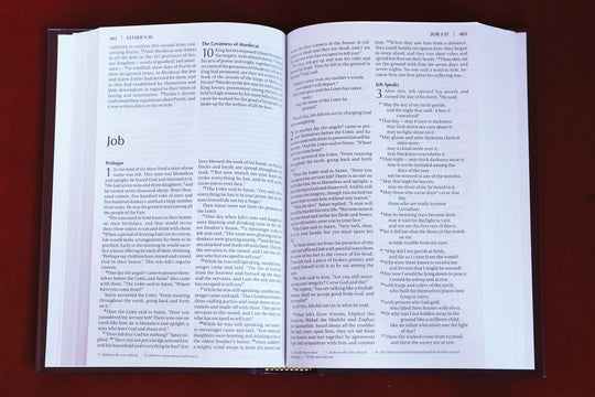 NIV Pew and Worship Bible