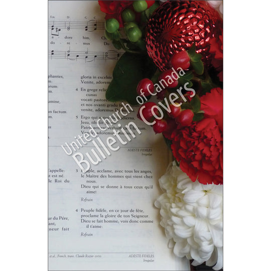 Bulletin: Advent Carol (Package of 50)