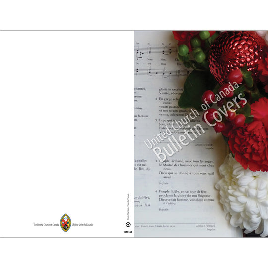 Bulletin: Advent Carol (Package of 50)