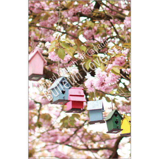 Bulletin: Bird Houses (Package of 50)