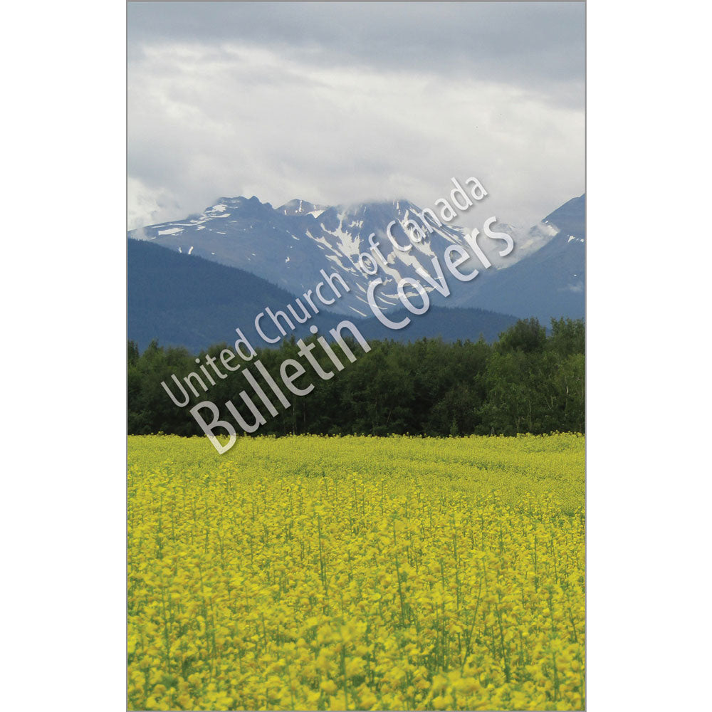 Bulletin: Western Mountains (Package of 50)