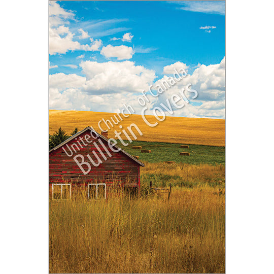 Bulletin: Saskatchewan Field (Package of 50)