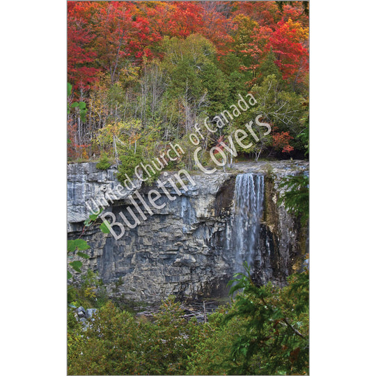 Bulletin: Waterfall (Package of 50)