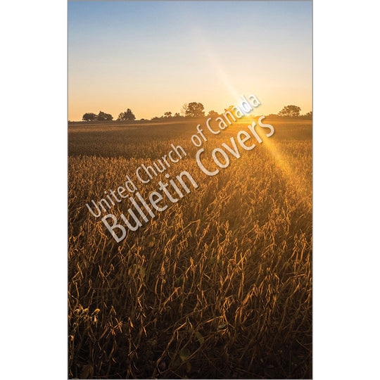 Bulletin: Crops at Sunset (Package of 50)