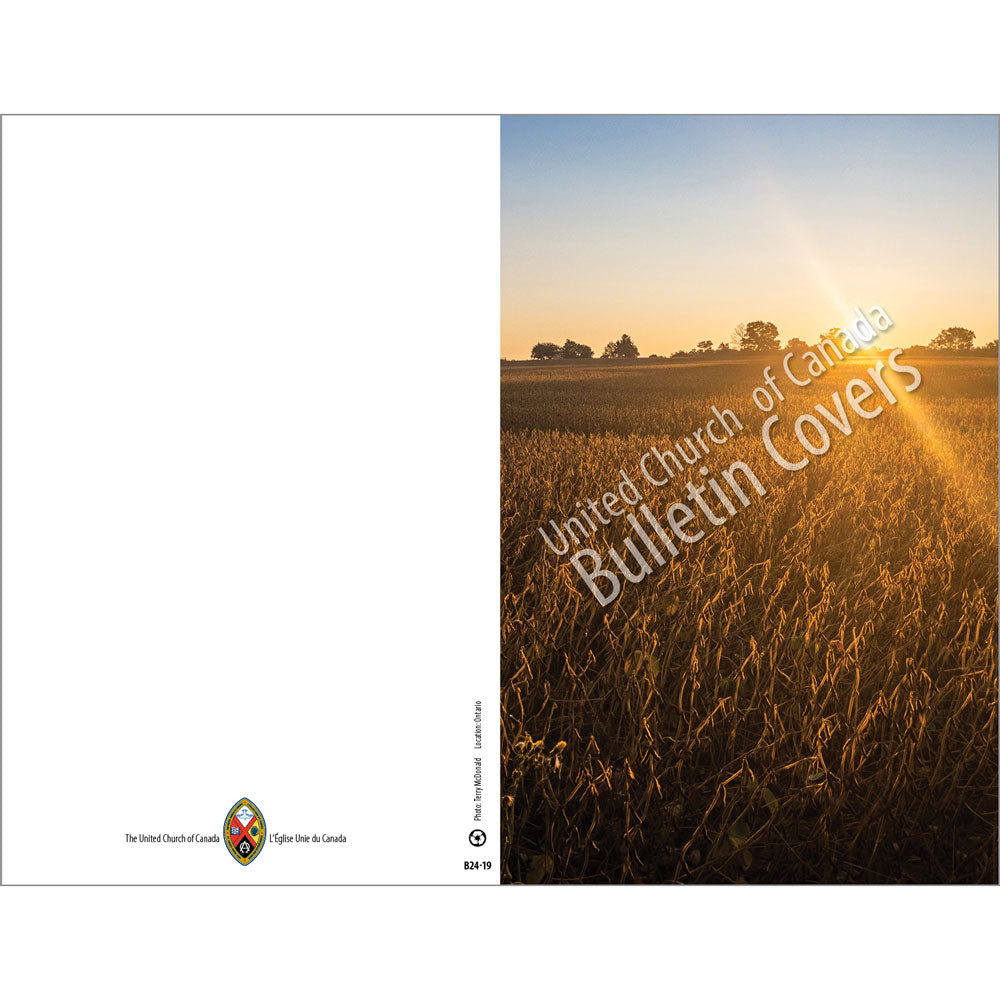 Bulletin: Crops at Sunset (Package of 50)