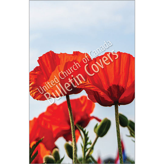 Bulletin: Poppies (Package of 50)