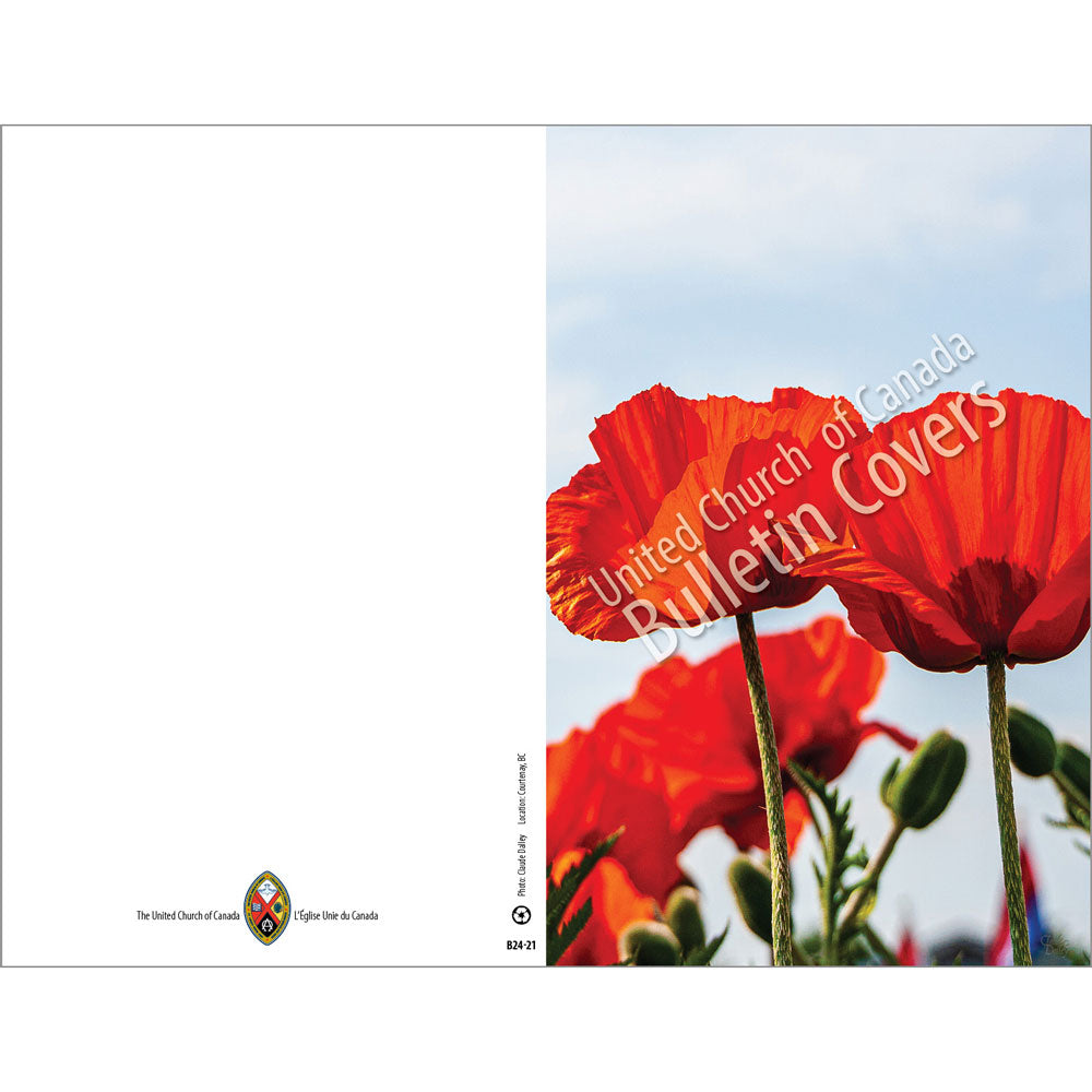 Bulletin: Poppies (package Of 50) – United Church Bookstore