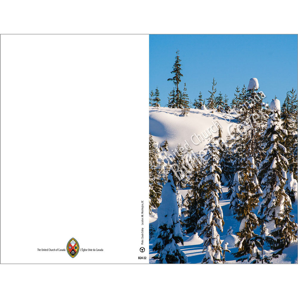 Bulletin: Winter Scenery (Package of 50)