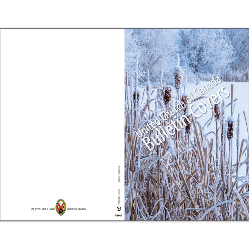 Bulletin: Winter Bullrushes (Package of 50)