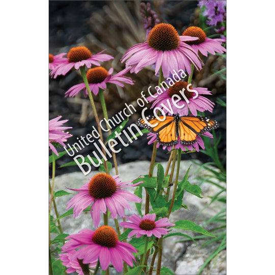 Bulletin: Butterfly and Flowers (Package of 50)