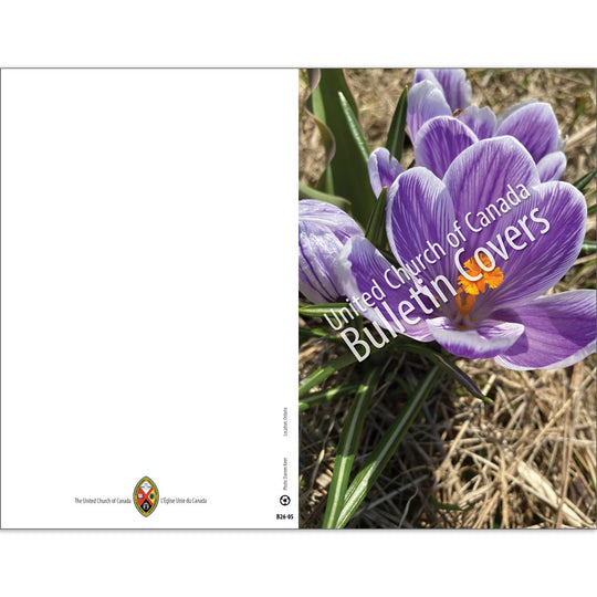 Bulletin: Crocus (Package of 50)