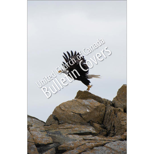 Bulletin: Eagle (Package of 50)