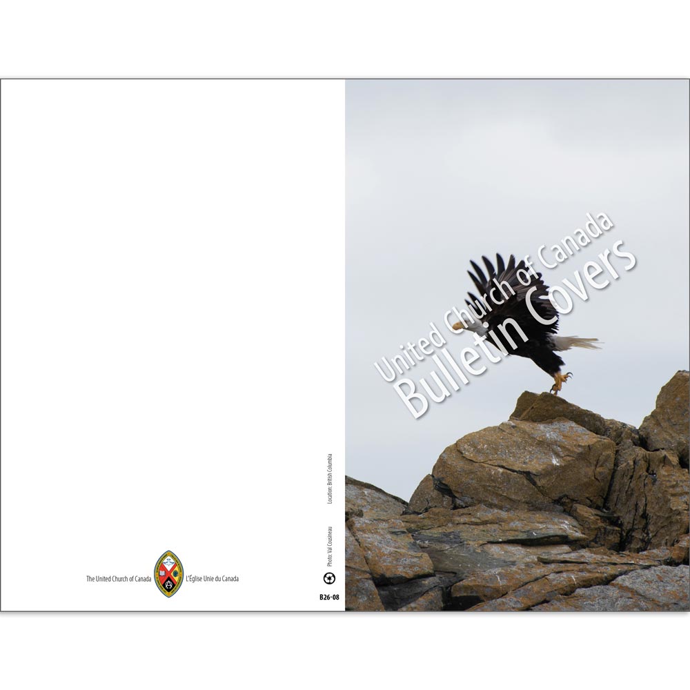 Bulletin: Eagle (Package of 50)