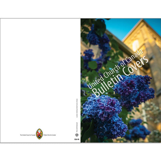 Bulletin: Lilacs (Package of 50)