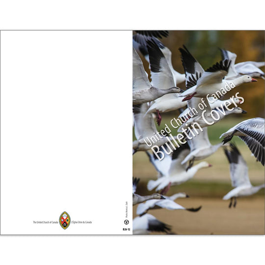 Bulletin: Birds in Flight (Package of 50)