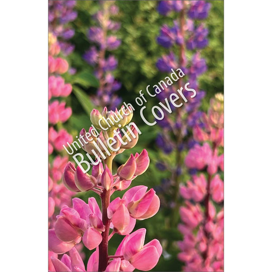 Bulletin: Lupines (Package of 50)