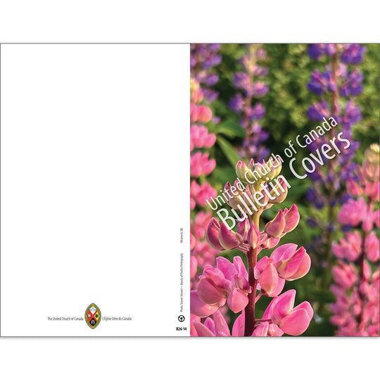 Bulletin: Lupines (Package of 50)