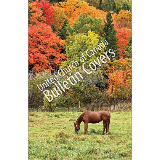 Bulletin: Horse in Field (Package of 50)