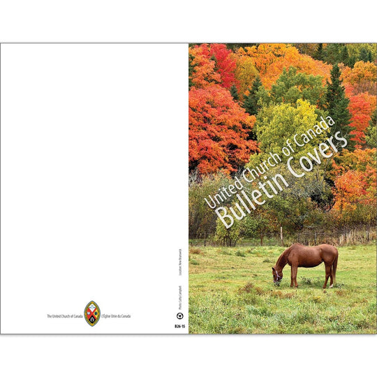 Bulletin: Horse in Field (Package of 50)