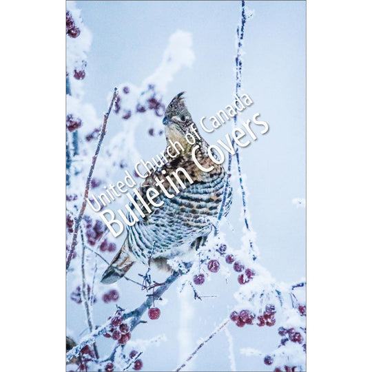 Bulletin: Winter Bird (Package of 50)
