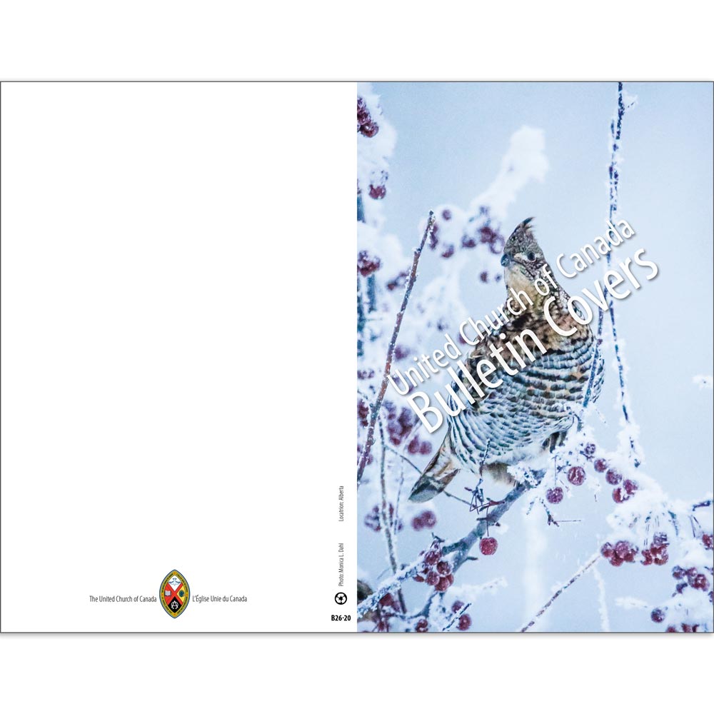 Bulletin: Winter Bird (Package of 50)