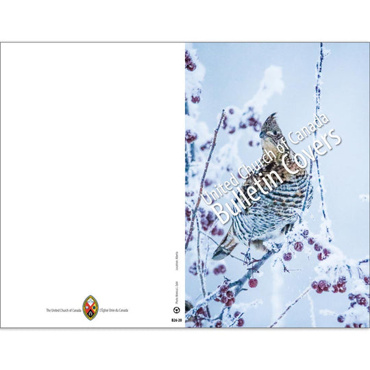 Bulletin: Winter Bird (Package of 50)
