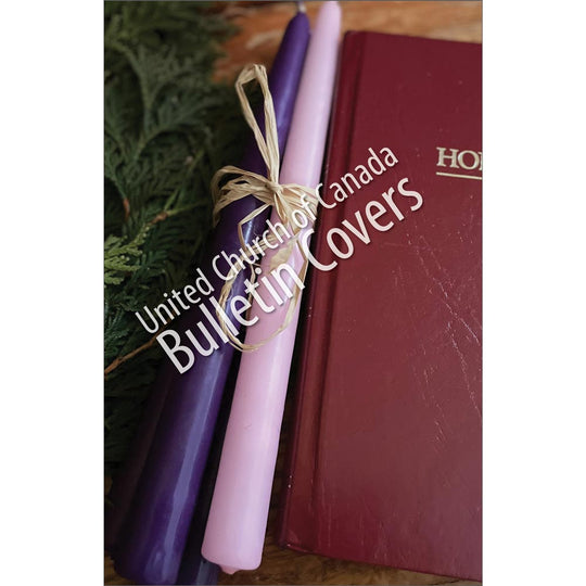 Bulletin: Bible and Advent Candles (Package of 50)