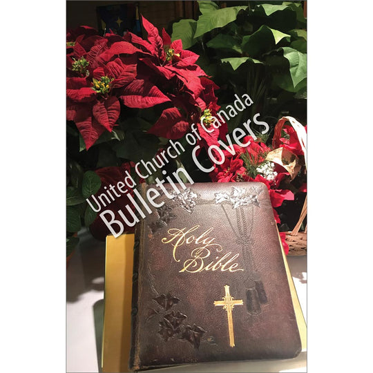 Bulletin: Bible and Poinsettias (Package of 50)