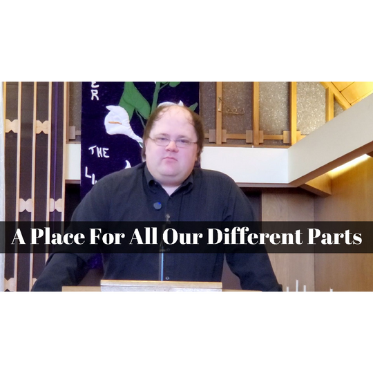 June 02, 2024 – Proper 04: “A Place for All Our Different Parts” A Worship Service Package Based on Psalm 139