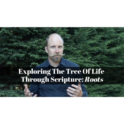 September 08, 2024 – Creation 01: "Exploring The Tree of Life Through Scripture: Roots” A Worship Service Package Based on Genesis 2:4b-25