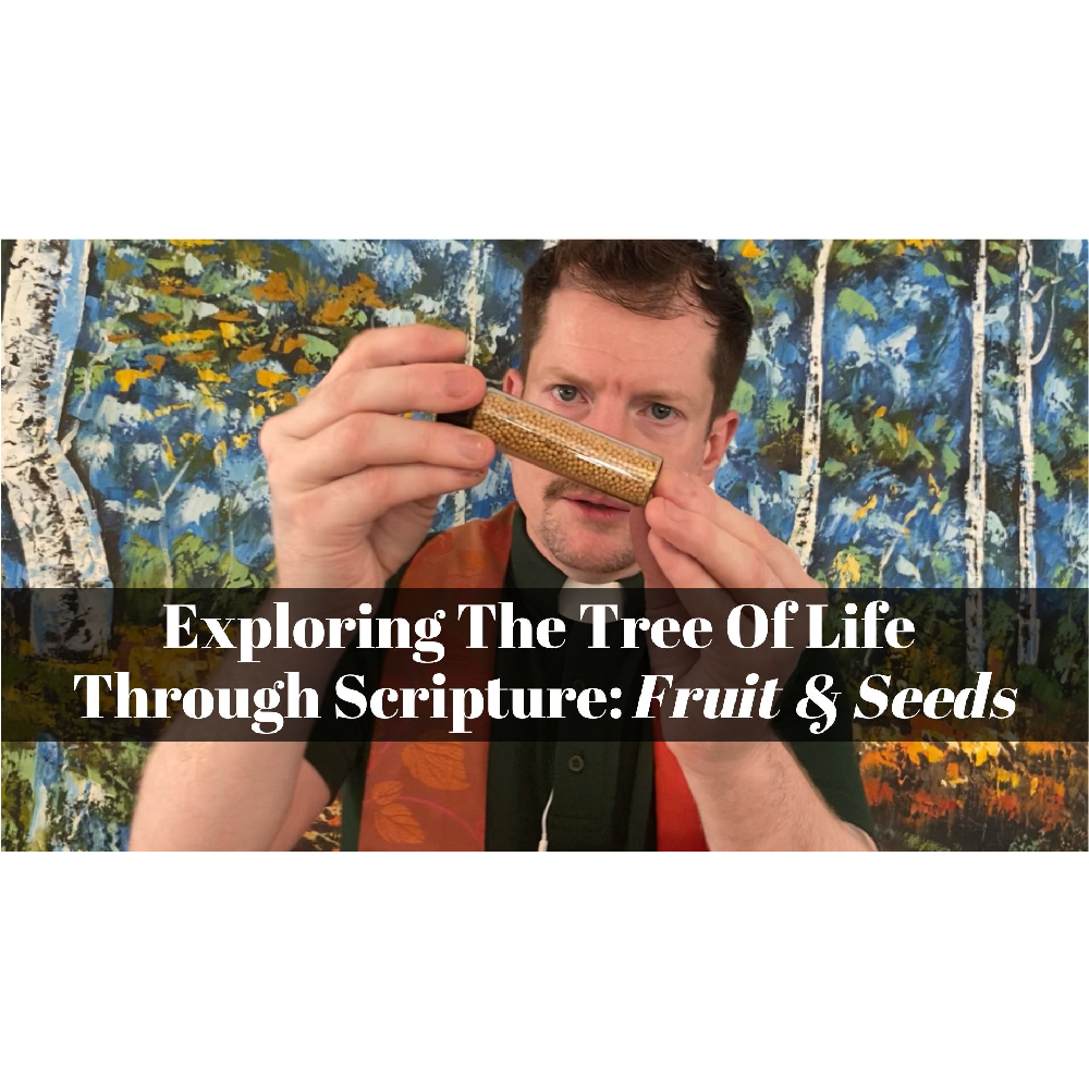 September 29, 2024 – Creation 04: "Exploring The Tree of Life Through Scripture: Seeds” A Worship Service Package Based on Matthew 13: 31-34