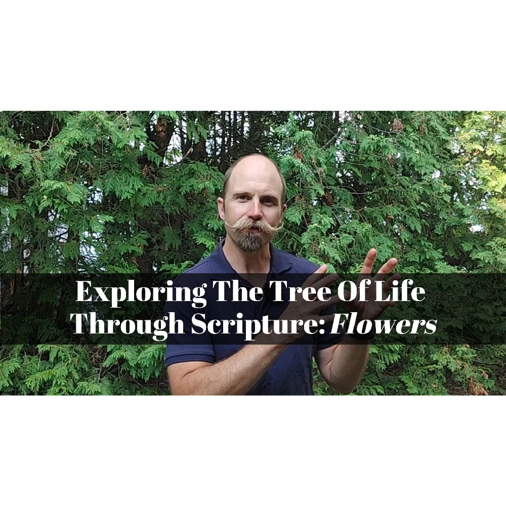 October 13, 2024 – Creation 06: "Exploring The Tree of Life Through Scripture: Flowers” A Worship Service Package Based on Genesis 1:1—2:4a