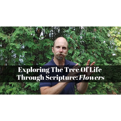 October 13, 2024 – Creation 06: "Exploring The Tree of Life Through Scripture: Flowers” A Worship Service Package Based on Genesis 1:1—2:4a