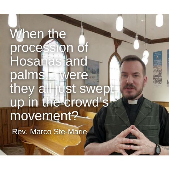 March 29, 2026 – Palm Sunday: A Worship Service Package Based on Matthew 21:1-11