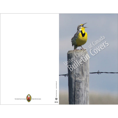 Bulletin: Meadowlark Singing (Package of 50)