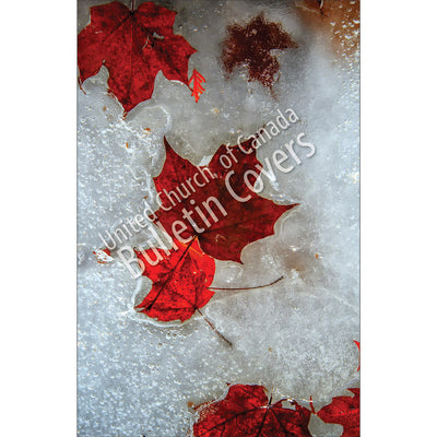 Bulletin: Leaves in Ice (Package of 50)