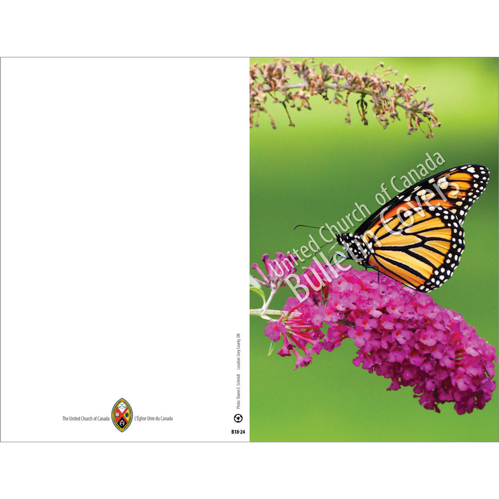 Bulletin: Monarch Butterfly (Package of 50)