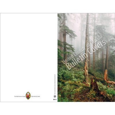 Bulletin: Misty Forest (Package of 50)