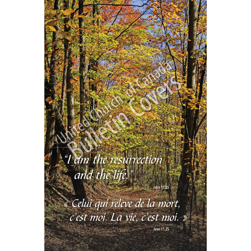 Bulletin: Autumn Forest Path (Package of 50)