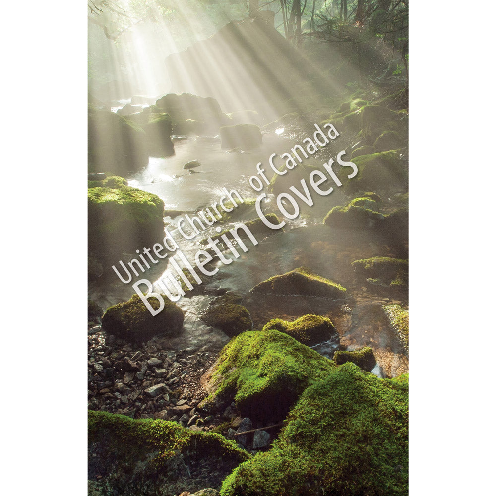 Special Occasion Bulletin: Light on Mossy Rocks (Package of 100)