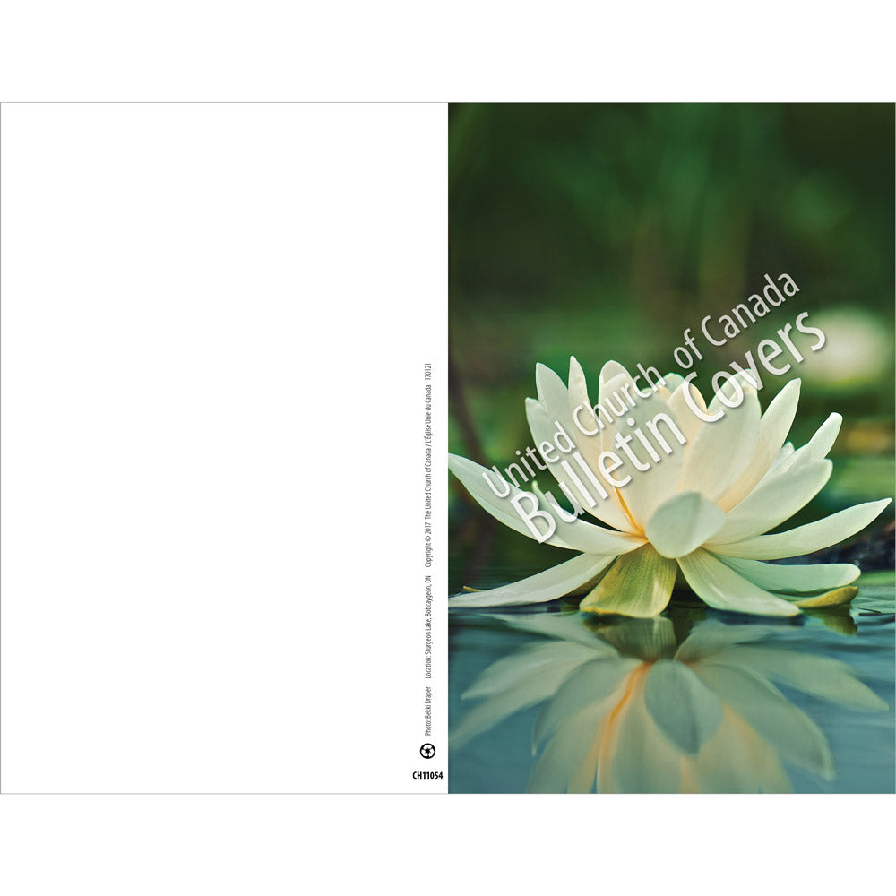 Special Occasion Bulletin: Waterlily (Package of 100)
