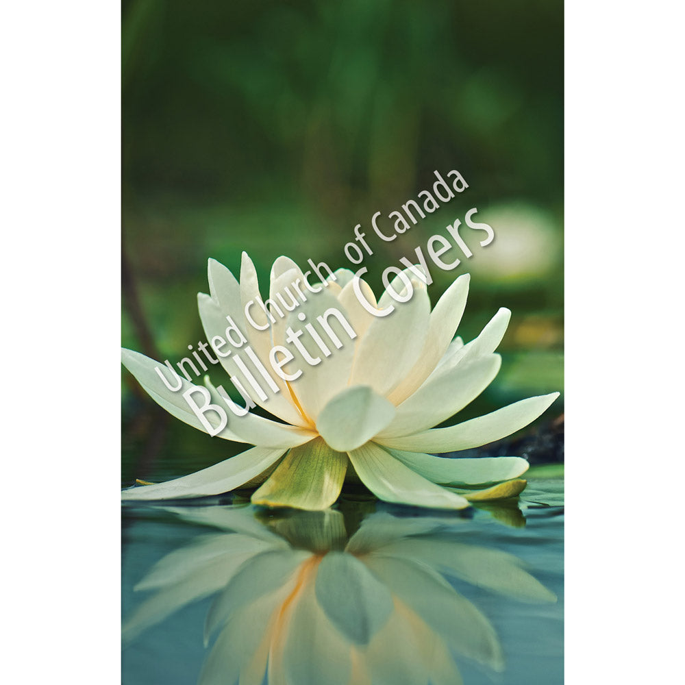 Special Occasion Bulletin: Waterlily (Package of 100)